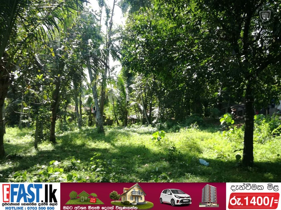 Land | For Sale | Pasyala